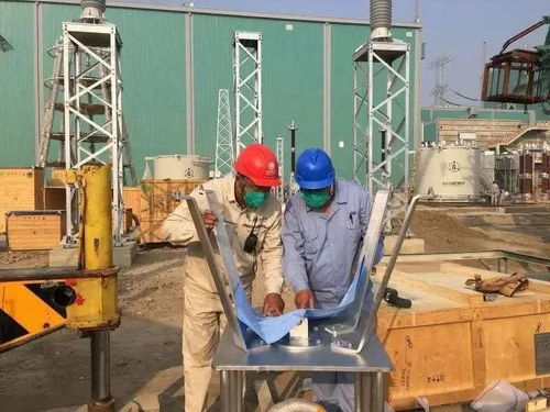 全面復工促發展，高端交付拓國際——平高電氣加速推進五金交電項目