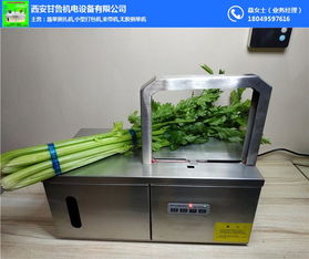 甘魯機電小型蒜苔捆扎機 助力五金交電領域高效農業作業
